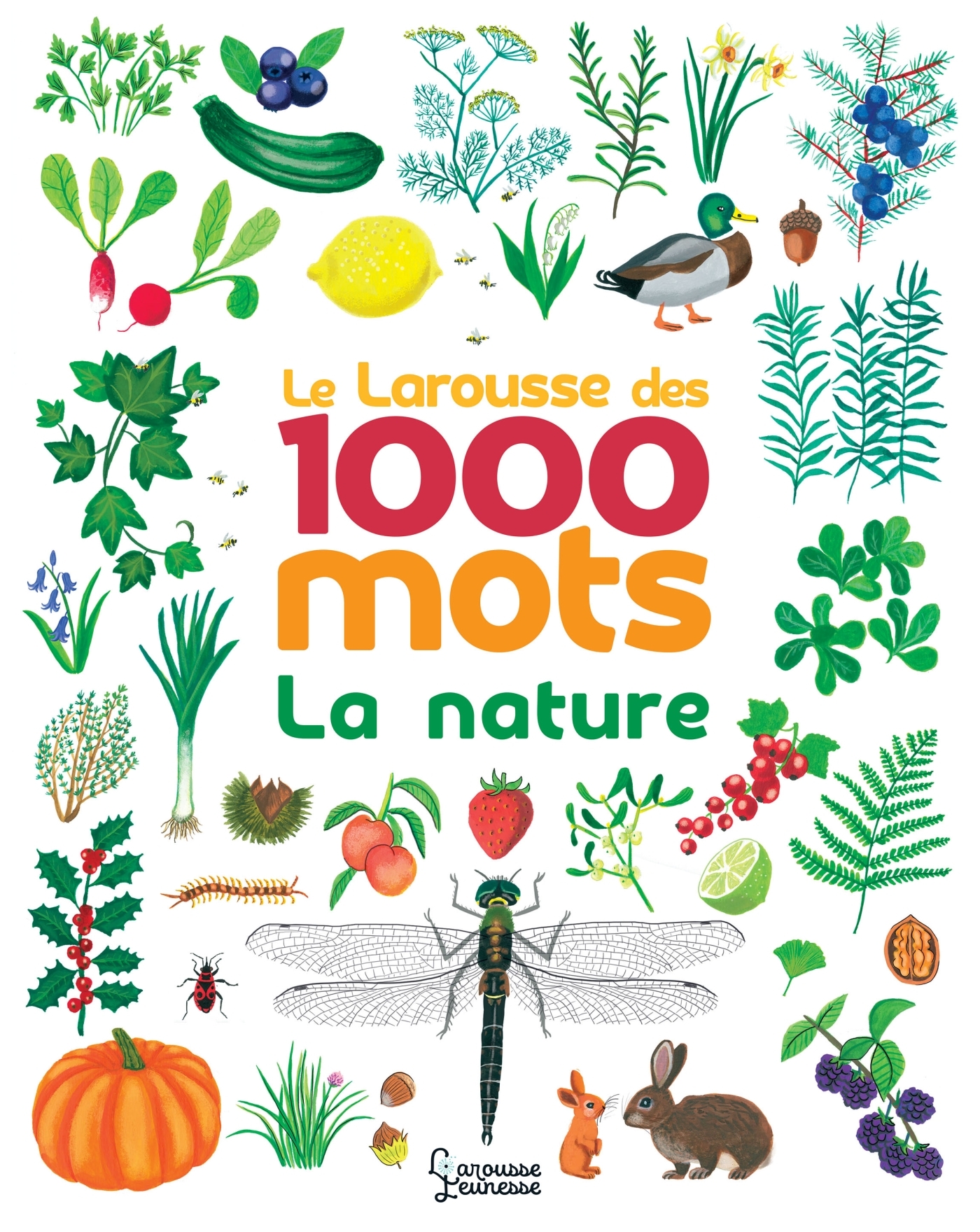 Le Larousse des 1000 mots de la nature - Marie-Élise Masson - LAROUSSE