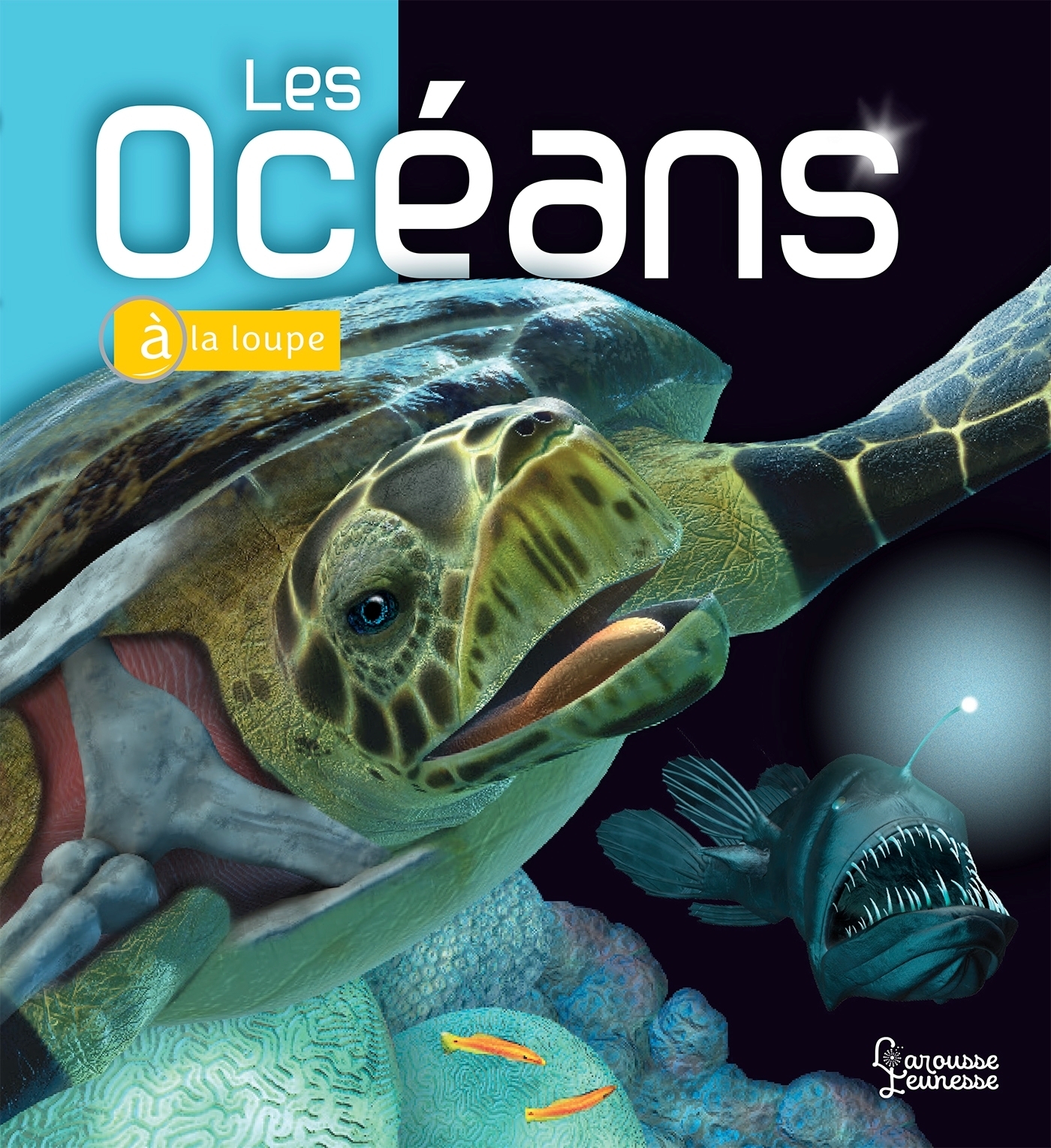 Les Océans - Beverly McMillan, John A. MUSICK - LAROUSSE