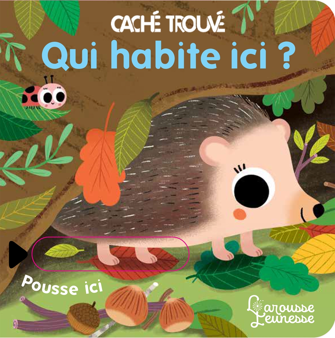 Qui habite ici ? - Sonia Baretti - LAROUSSE