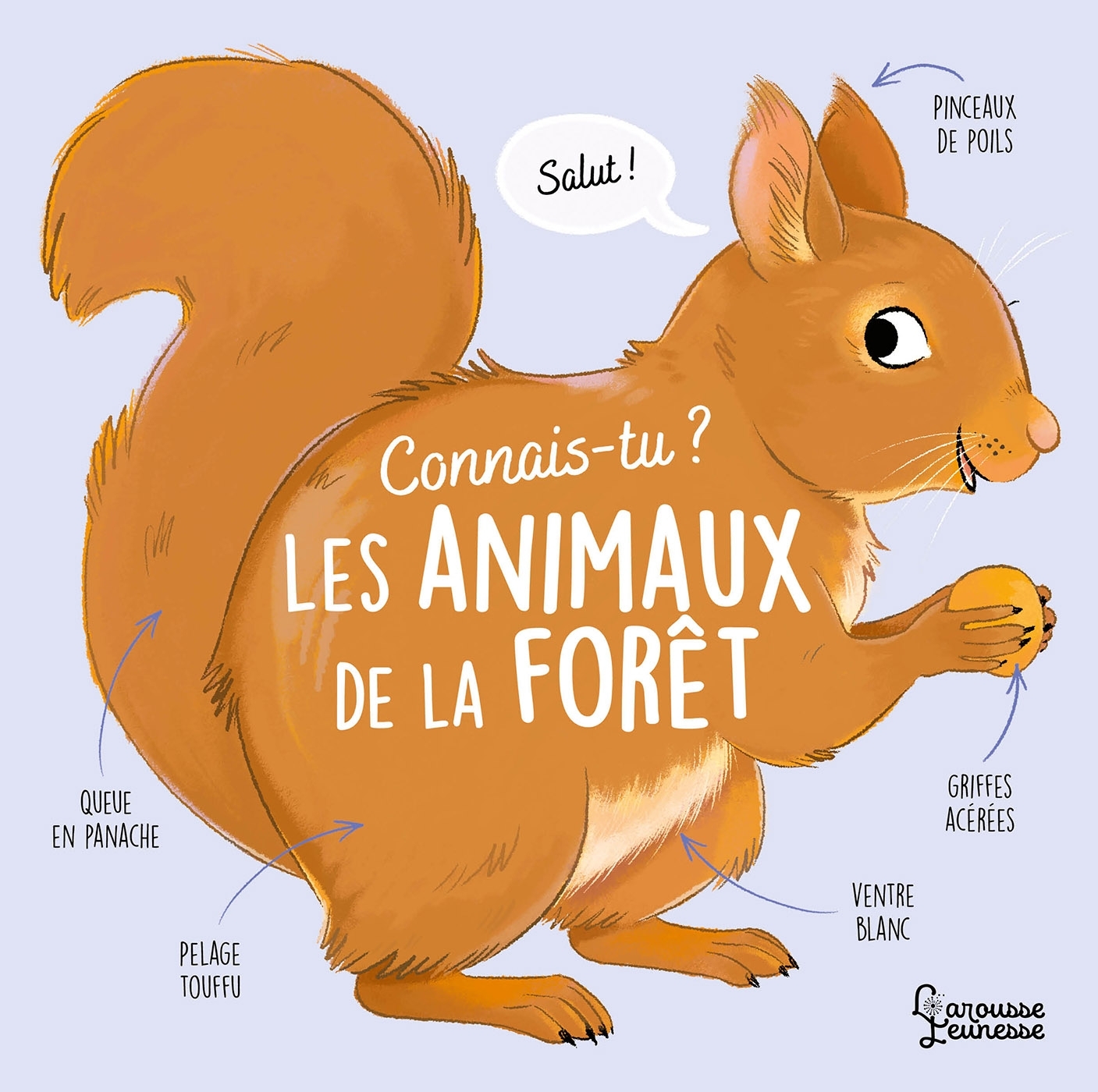 Connais-tu les animaux de la forêt ? - Agnès Besson, AXELLE VANHOOF - LAROUSSE