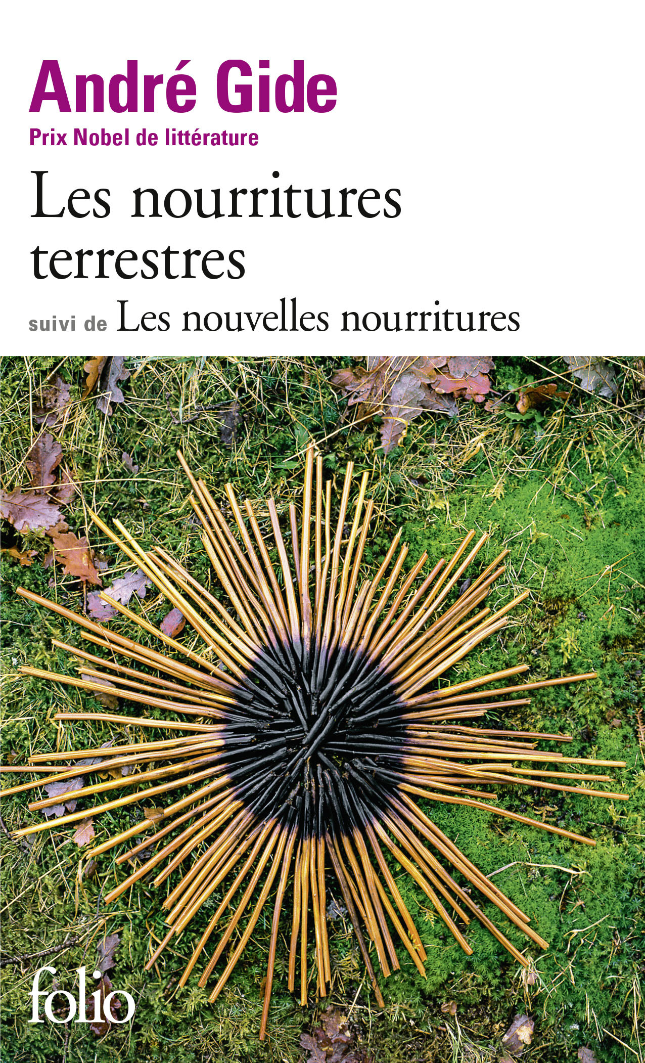 Les Nourritures terrestres / Les Nouvelles nourritures - André Gide - FOLIO