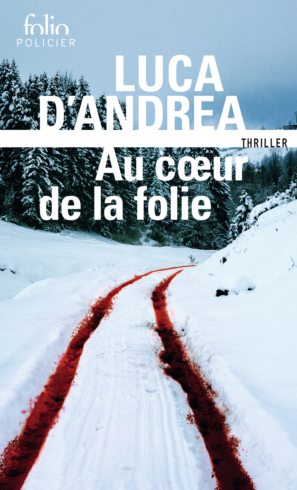 Au coeur de la folie - Luca D'Andrea, Anaïs Bouteille-Bokobza - FOLIO