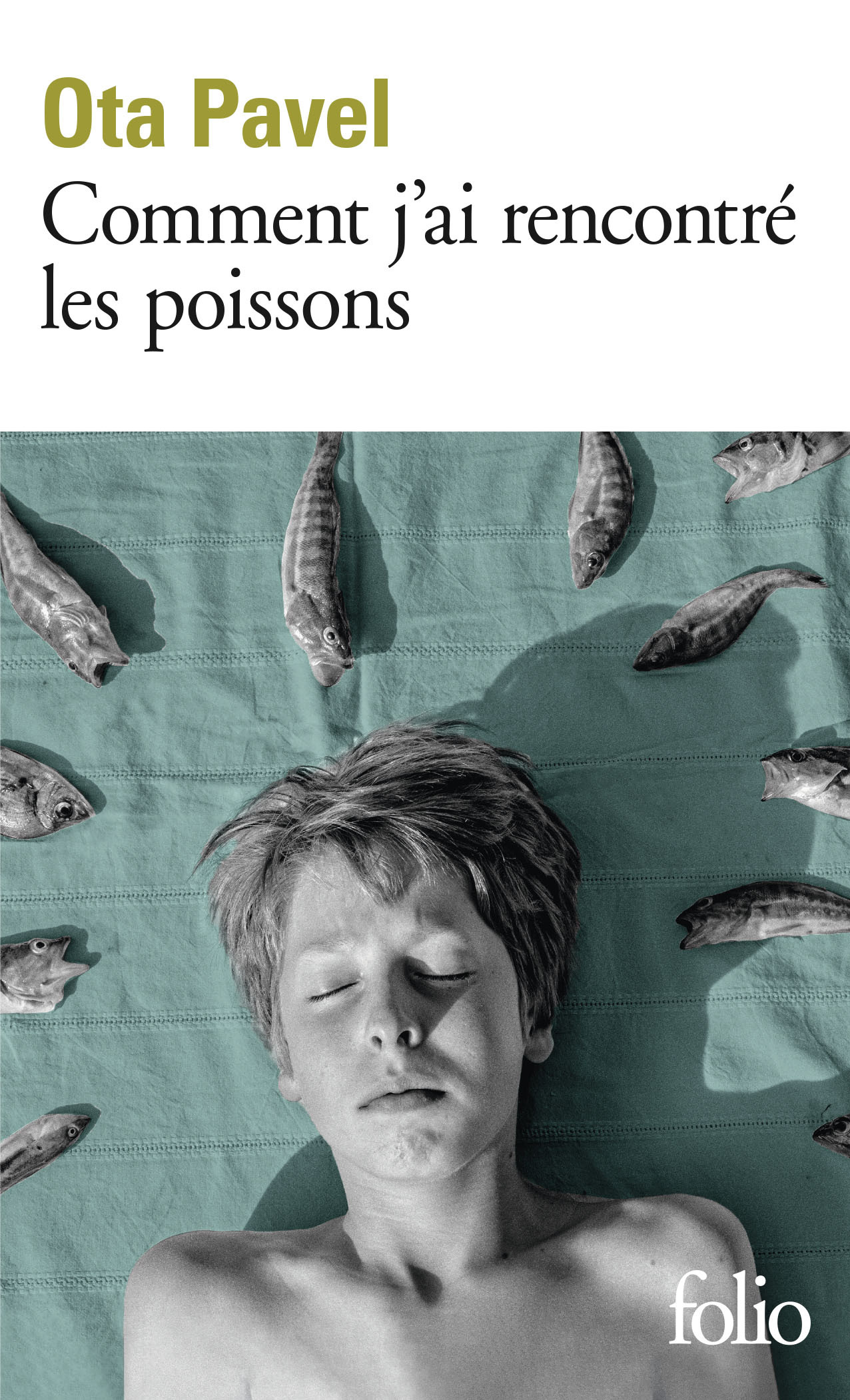 Comment j'ai rencontré les poissons - Ota Pavel, Faure Barbora - FOLIO