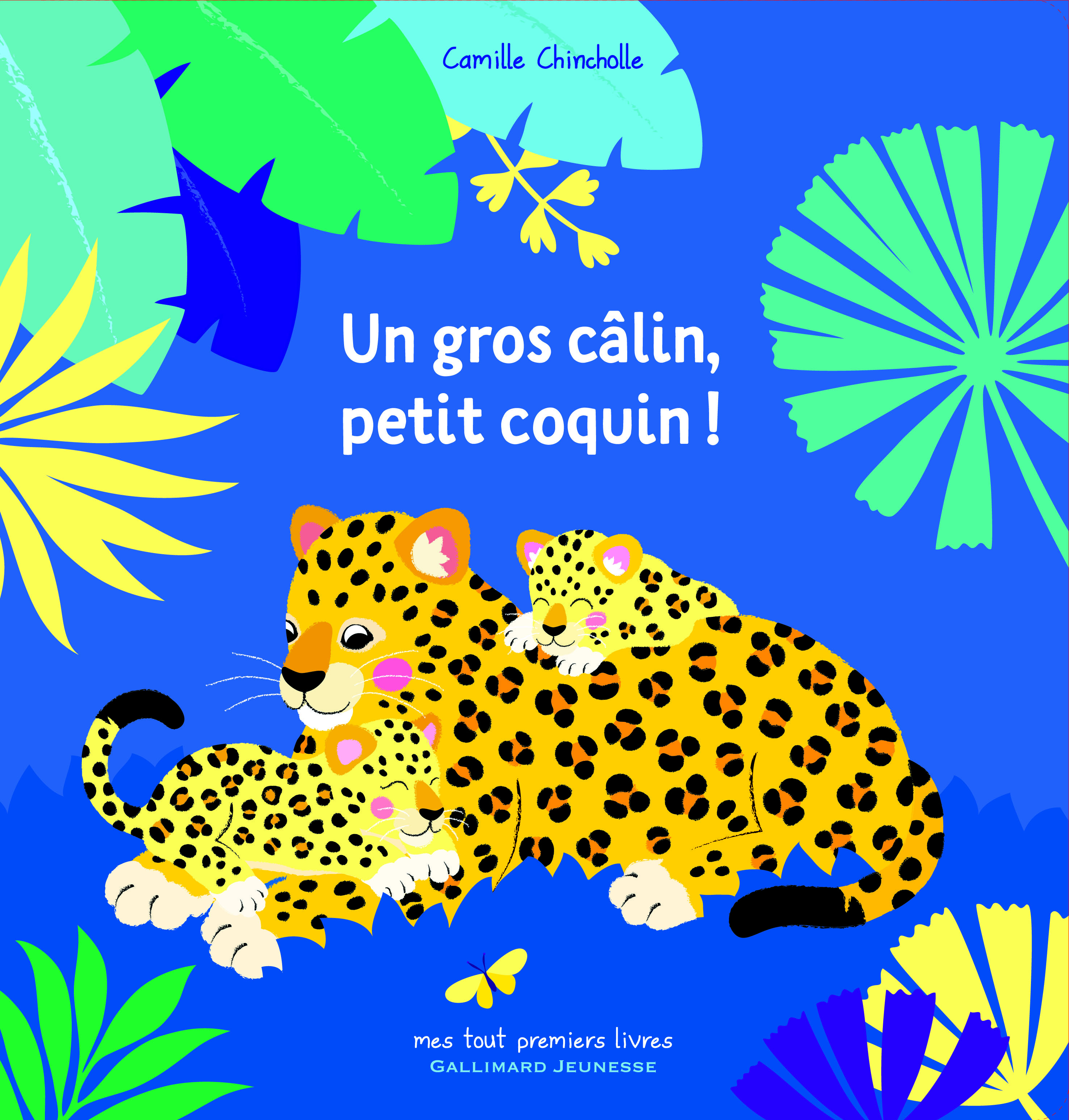 Un gros câlin, petit coquin ! - Camille Chincholle - GALLIMARD JEUNE