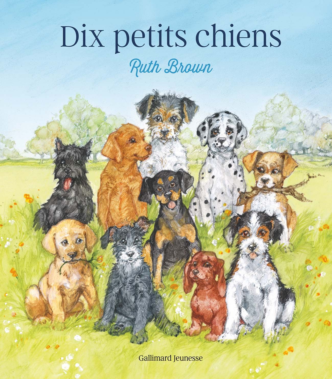 Dix petits chiens - Ruth Brown, Ruth Brown,  Gallimard Jeunesse - GALLIMARD JEUNE
