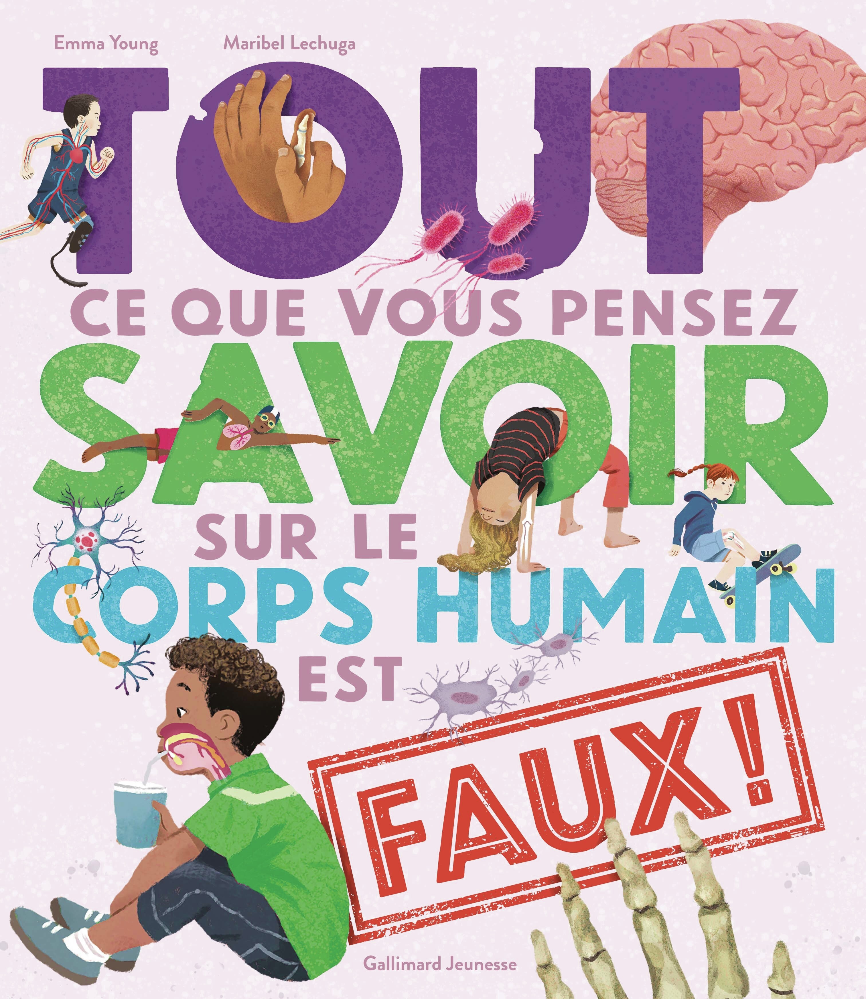 Tout ce que vous pensez savoir sur le corps humain est faux ! - Emma Young, Maribel Lechuga, Bérengère Viennot - GALLIMARD JEUNE