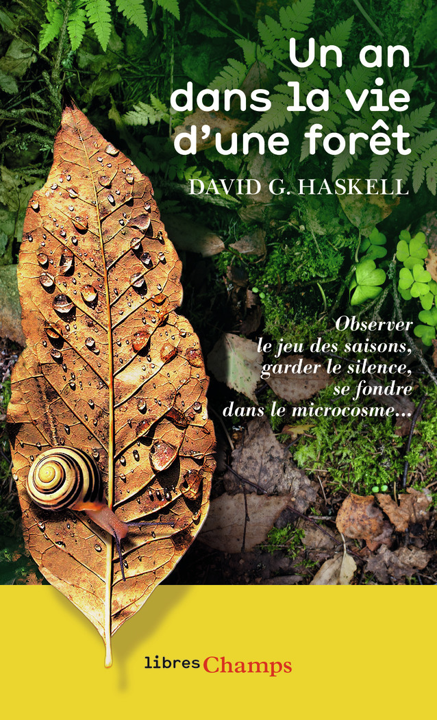 Un an dans la vie d'une forêt - David G. Haskell, Thierry Piélat - FLAMMARION