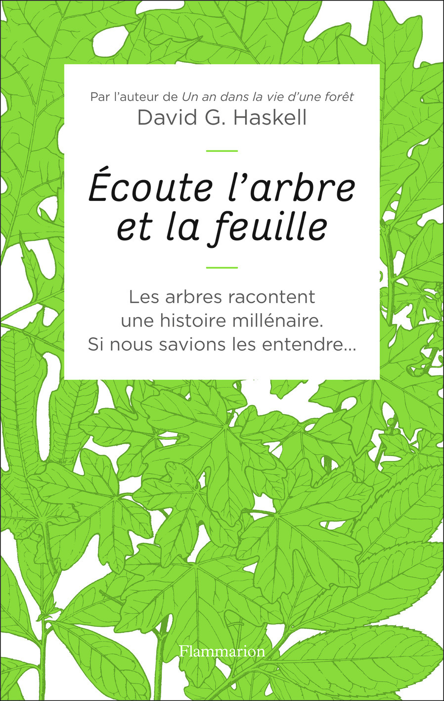 Écoute l'arbre et la feuille - David G. Haskell, Valentine Plessy, Thierry Piélat - FLAMMARION