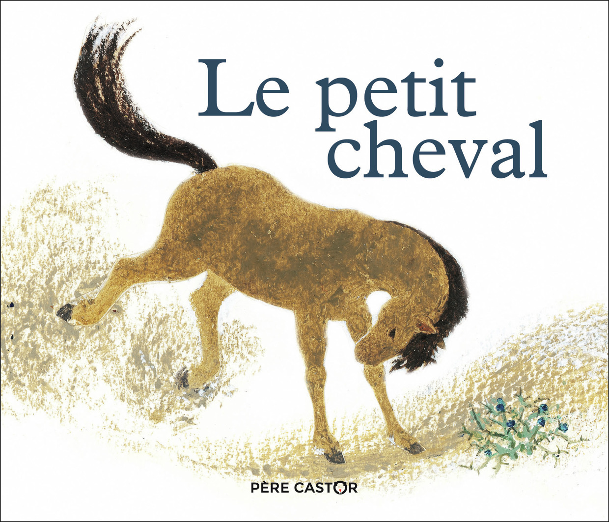 Le Petit Cheval et le vieux chameau - Andrée-Paule Fournier, Kersti Chaplet - PERE CASTOR