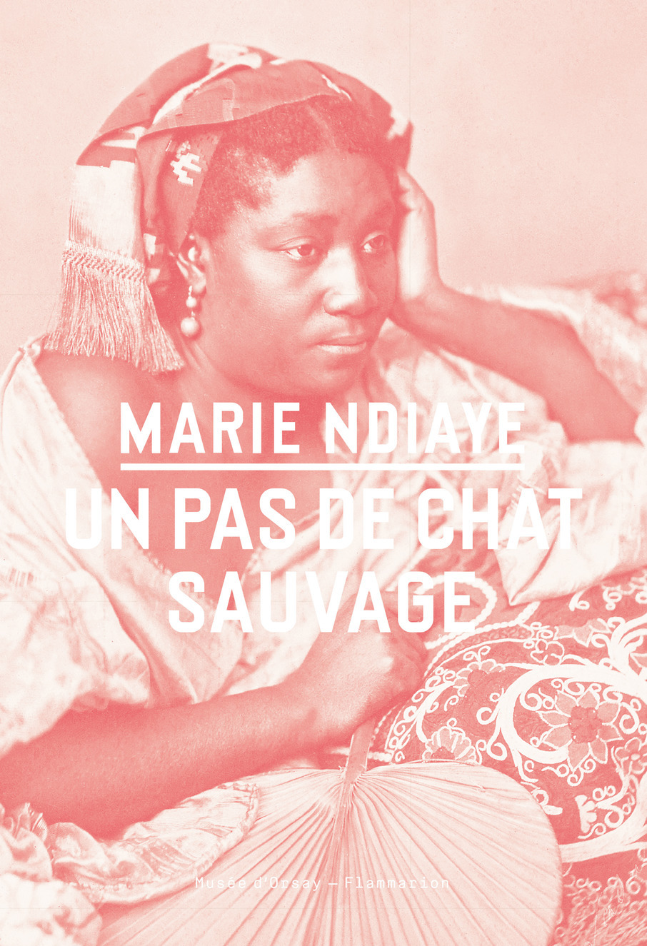 Un pas de chat sauvage - Marie Ndiaye - FLAMMARION