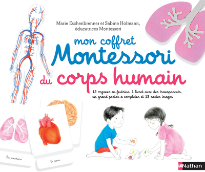 Mon coffret Montessori du corps humain - Sabine Hofmann, Roberta Rocchi - NATHAN