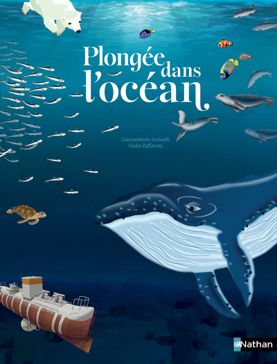 Plongée dans l'Océan - un voyage sous-marin des flots aux abysses - Gianumberto ACCINELLI, Giulia ZAFFARONI, Héloïse Chapput - NATHAN