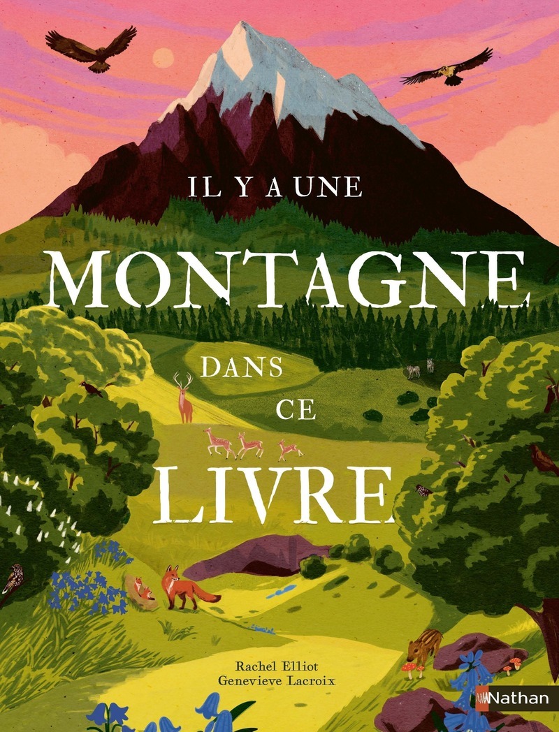 Il y a une montagne dans ce livre - Rachel Elliot, Geneviève Lacroix, Adrien Scharff, Geneviève Lacroix, Jon Cannell - NATHAN