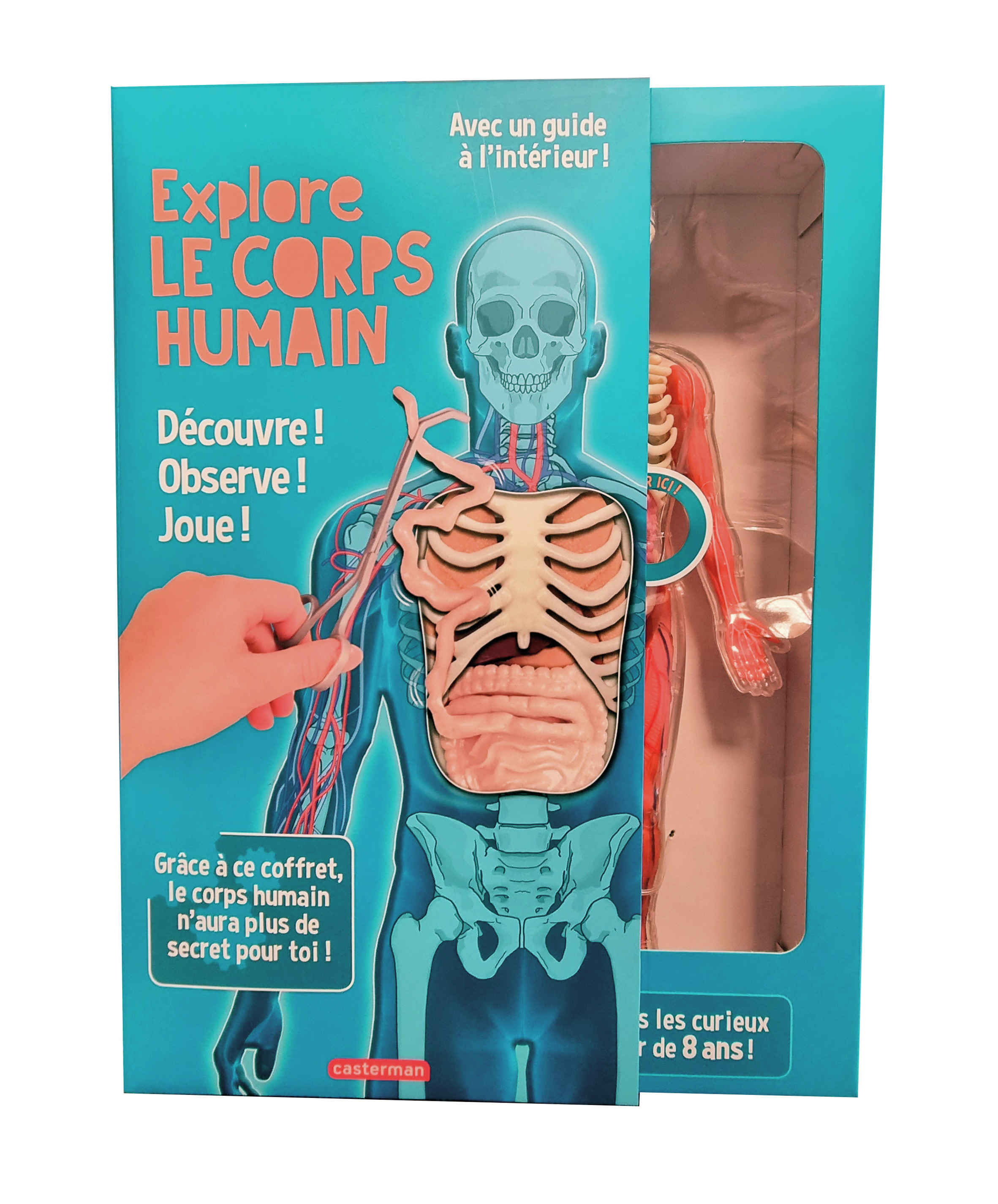 Explore le corps humain ! - Lucille M. Kayes, Lucille M. Kayes - CASTERMAN