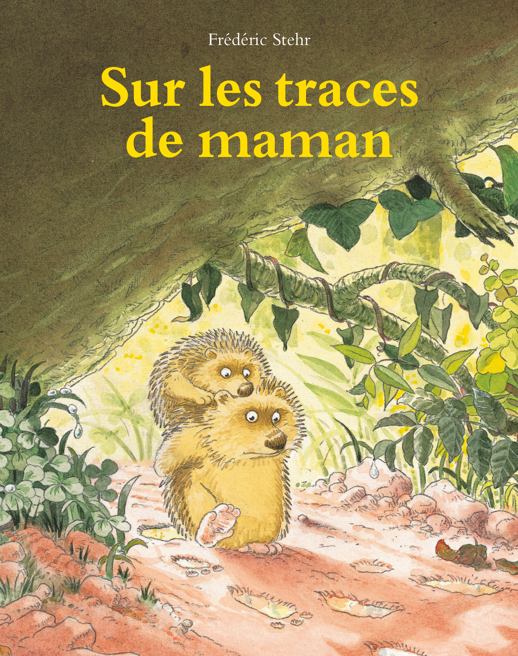 Sur les traces de maman - Frédéric Stehr - EDL
