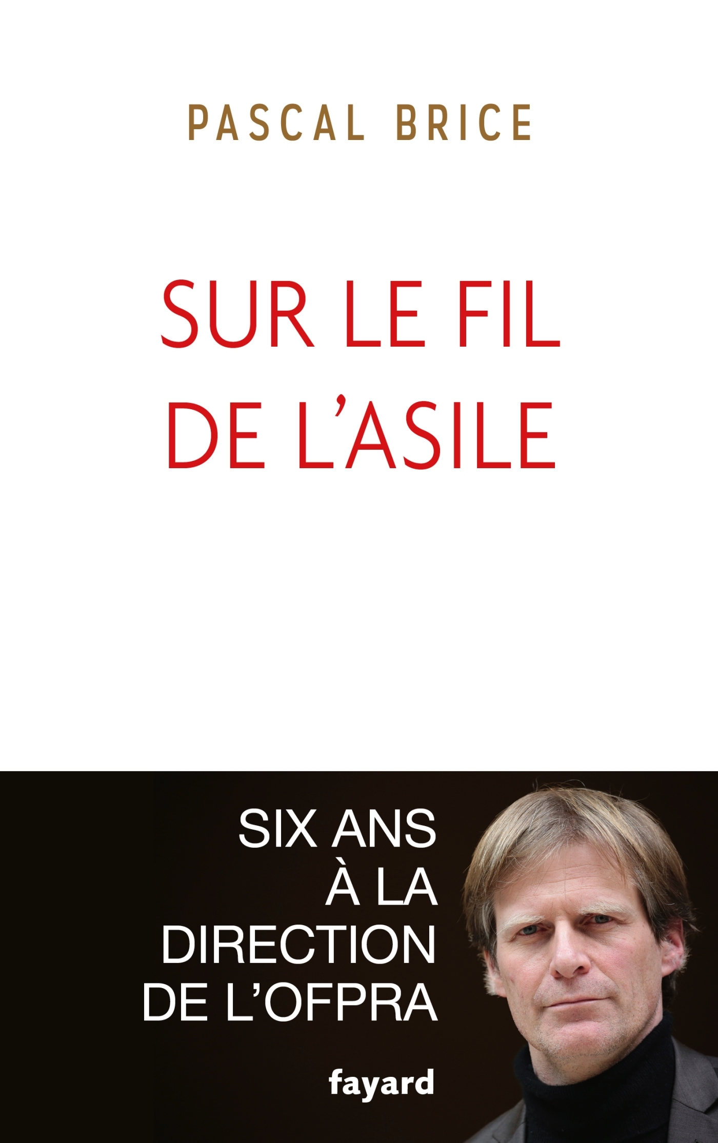 Sur le fil de l'asile - Pascal Brice - FAYARD
