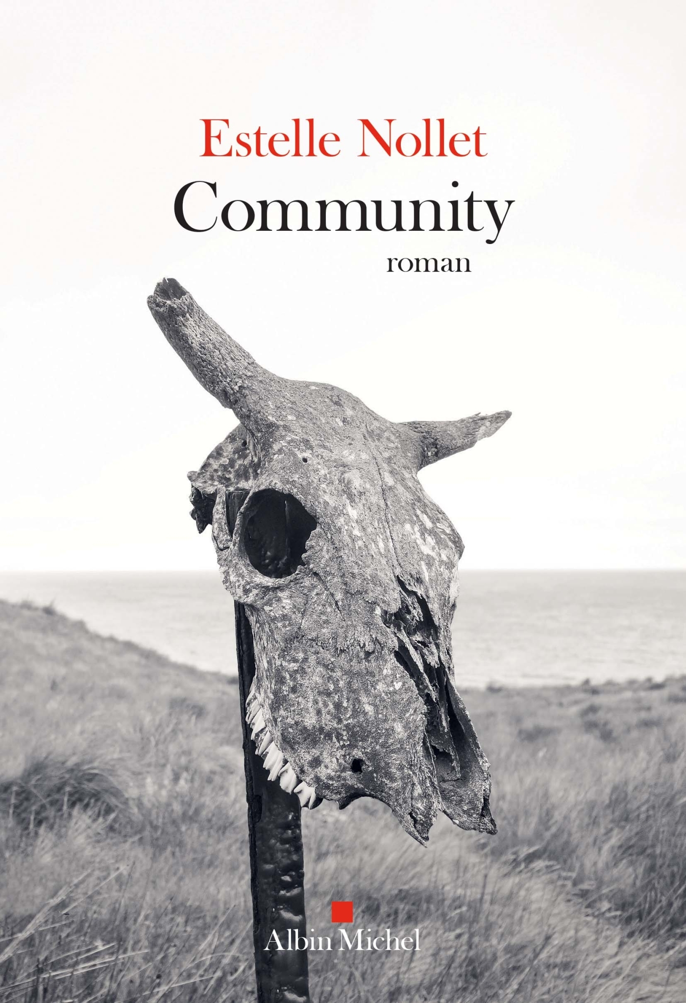 Community - Estelle Nollet - ALBIN MICHEL