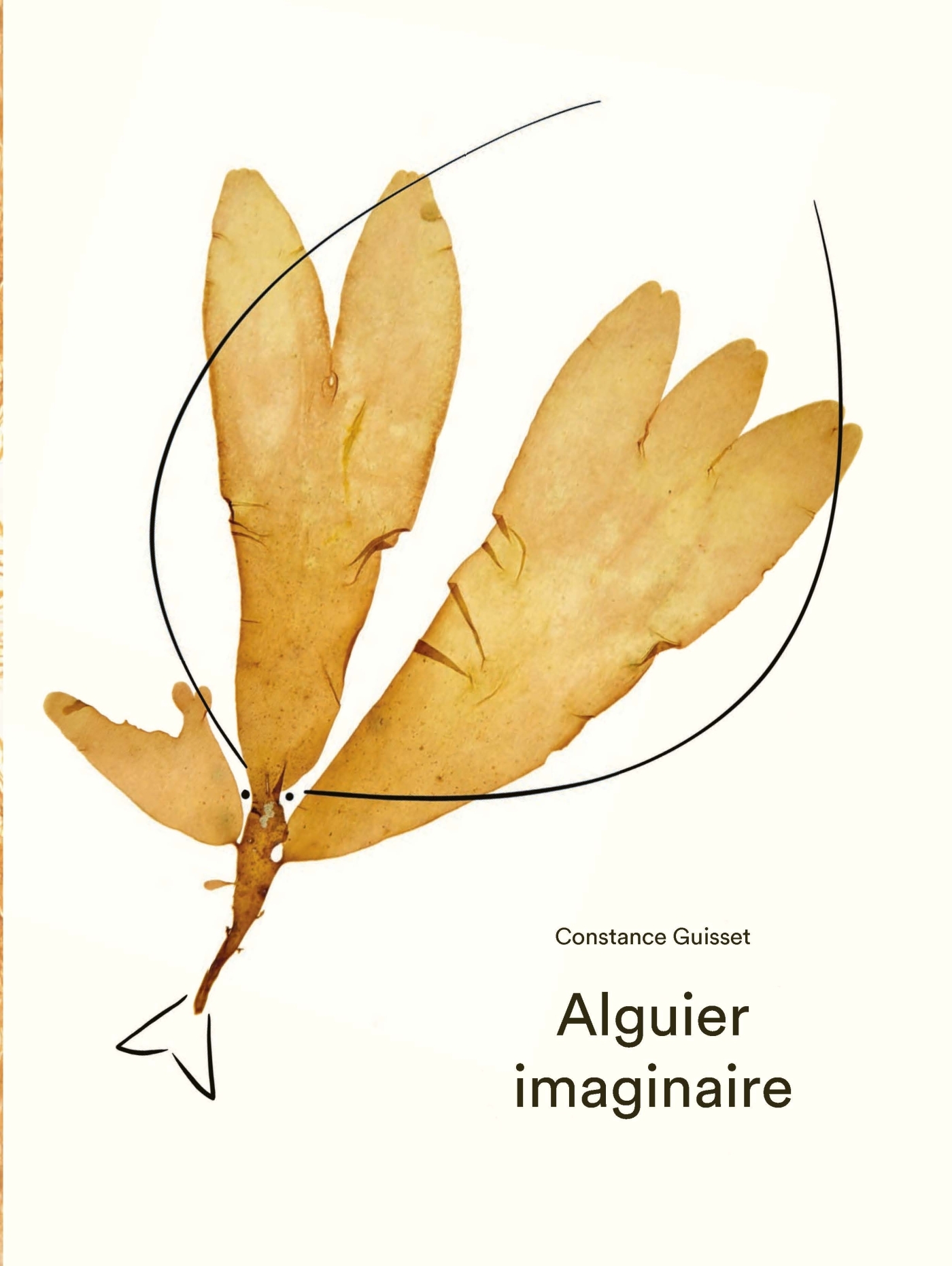 Alguier imaginaire - Constance Guisset - ALBIN MICHEL
