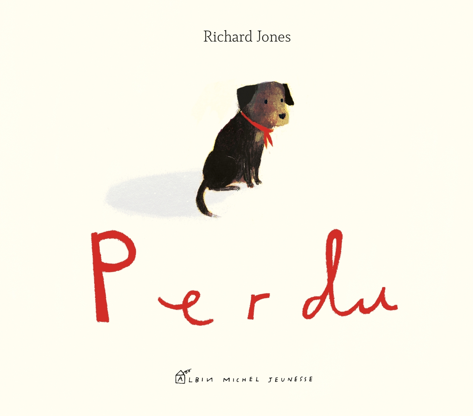 Perdu - Richard Jones, Françoise Guibert - ALBIN MICHEL