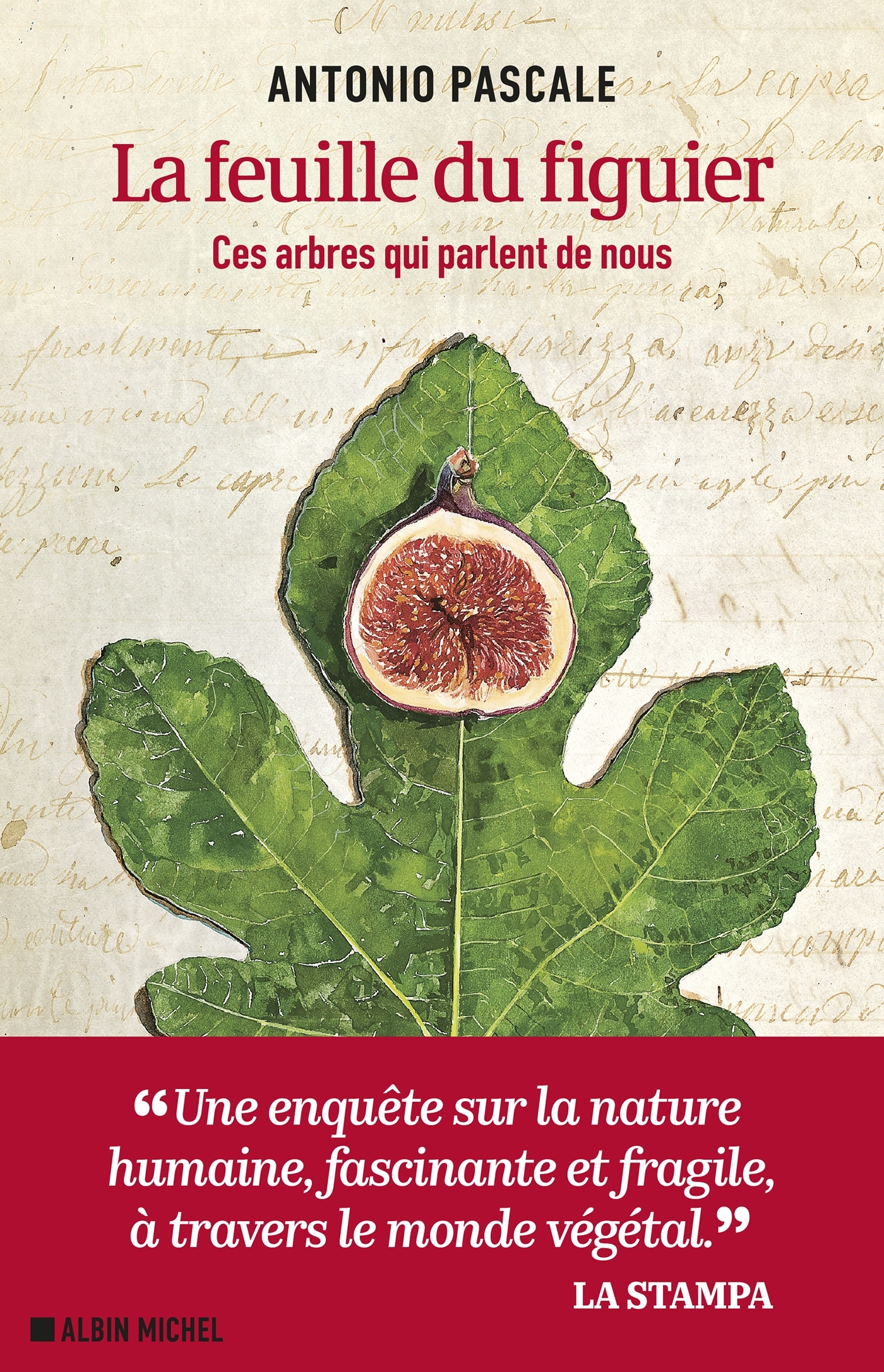 La Feuille du figuier - Antonio Pascale, Marianne Faurobert - ALBIN MICHEL