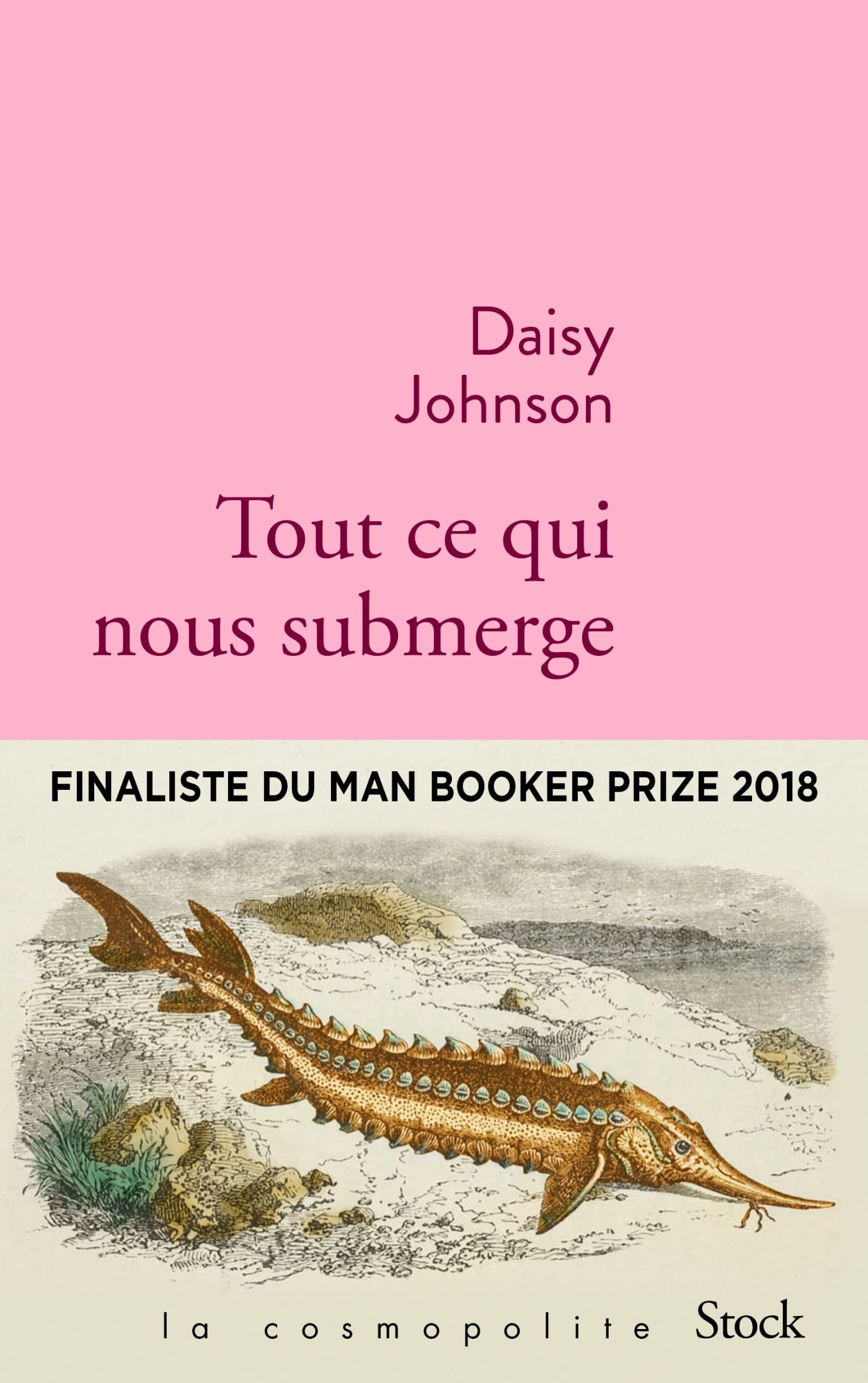Tout ce qui nous submerge - Daisy Johnson - STOCK