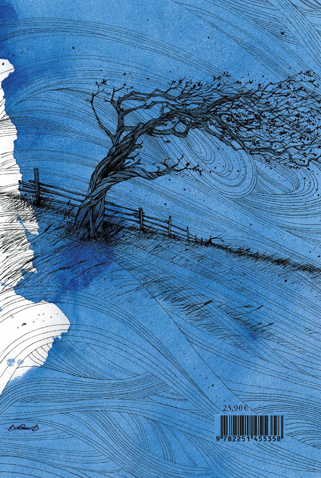 Les Hauts de Hurtebise - Emily Brontë, Patrick Reumaux, John Cowper Powys - BELLES LETTRES