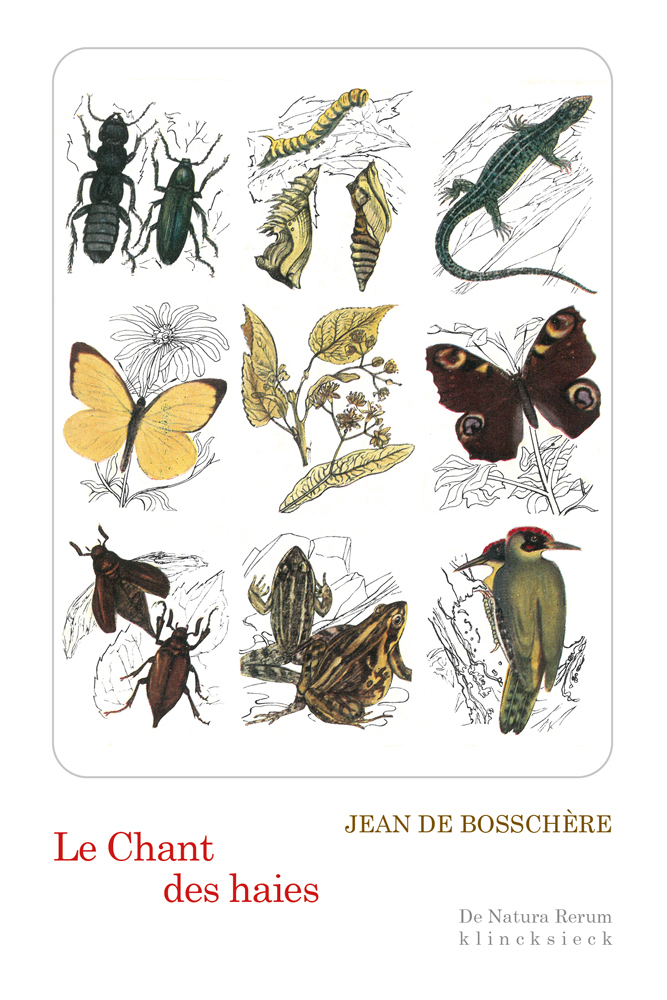 Le Chant des haies - Jean De Bosschère, Jean De Bosschère, Sandra Lefrancois - KLINCKSIECK