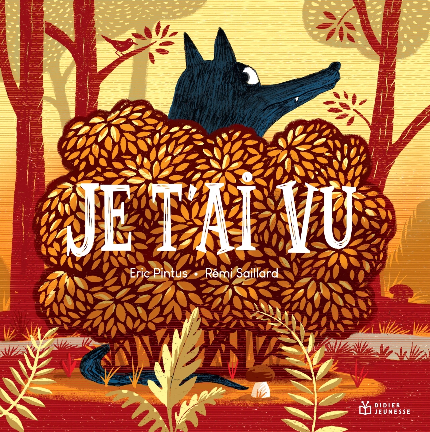 Je t'ai vu - ERIC PINTUS, Rémi Saillard - DIDIER JEUNESSE